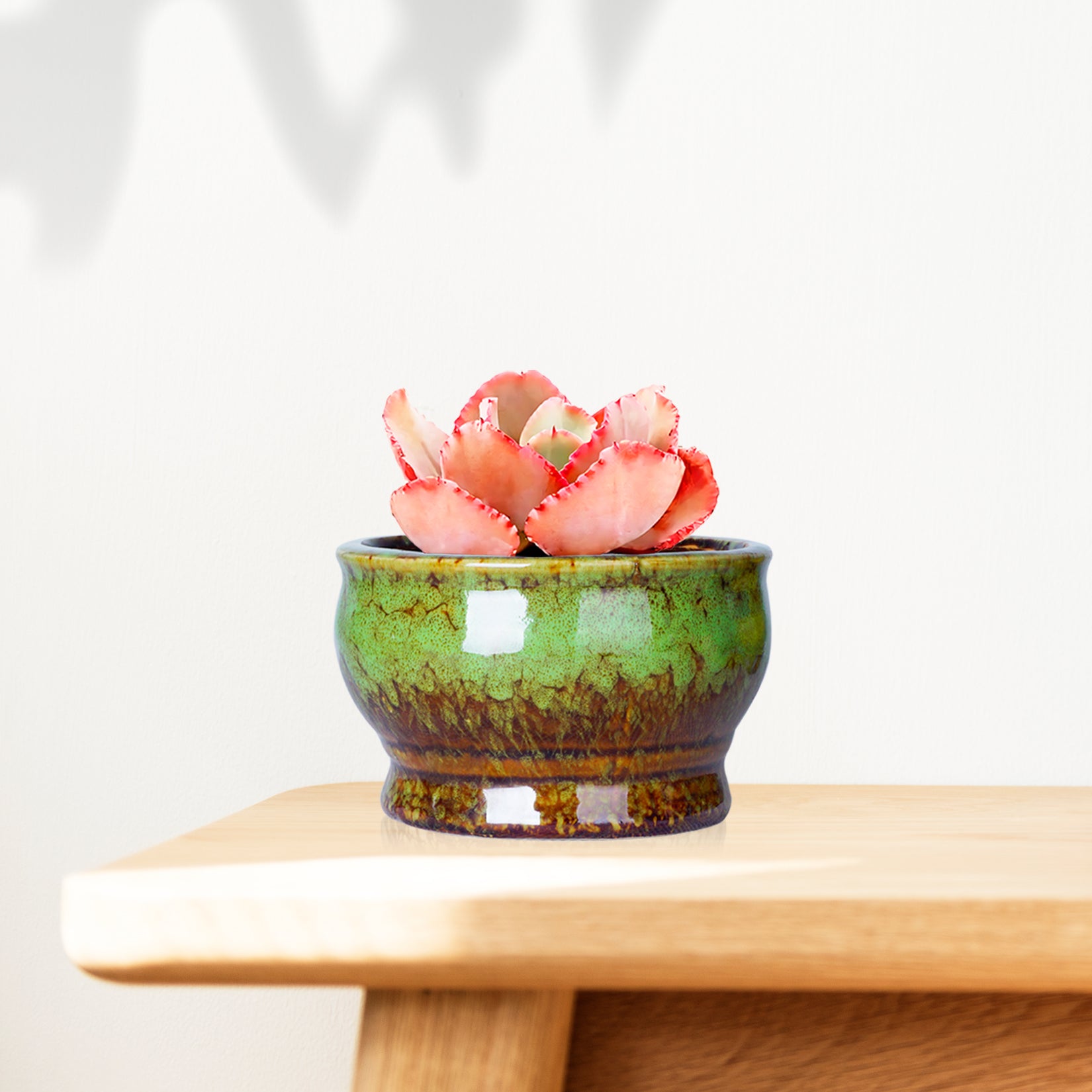 Cute 4.3 Inch Succulent Planter Pot Modern Ceramic Cactus Glaze Flowers Pots with Drainage