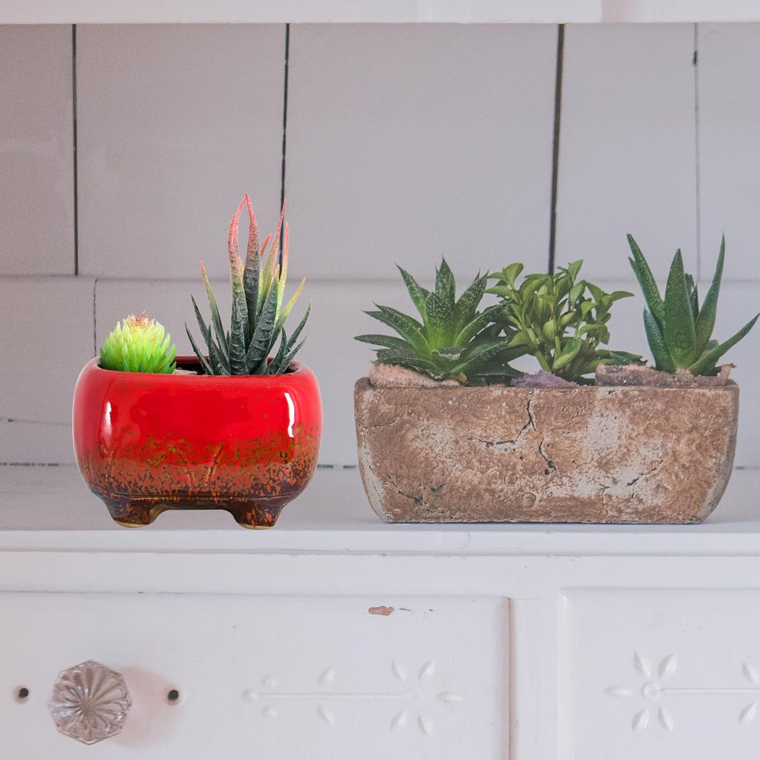 Succulent Pots - Small Succulent Plant Pots with Drainage Set of 6, Ceramic Cactus Planter Pots for Indoor Unique Flower Planter Container for Home Office Decor