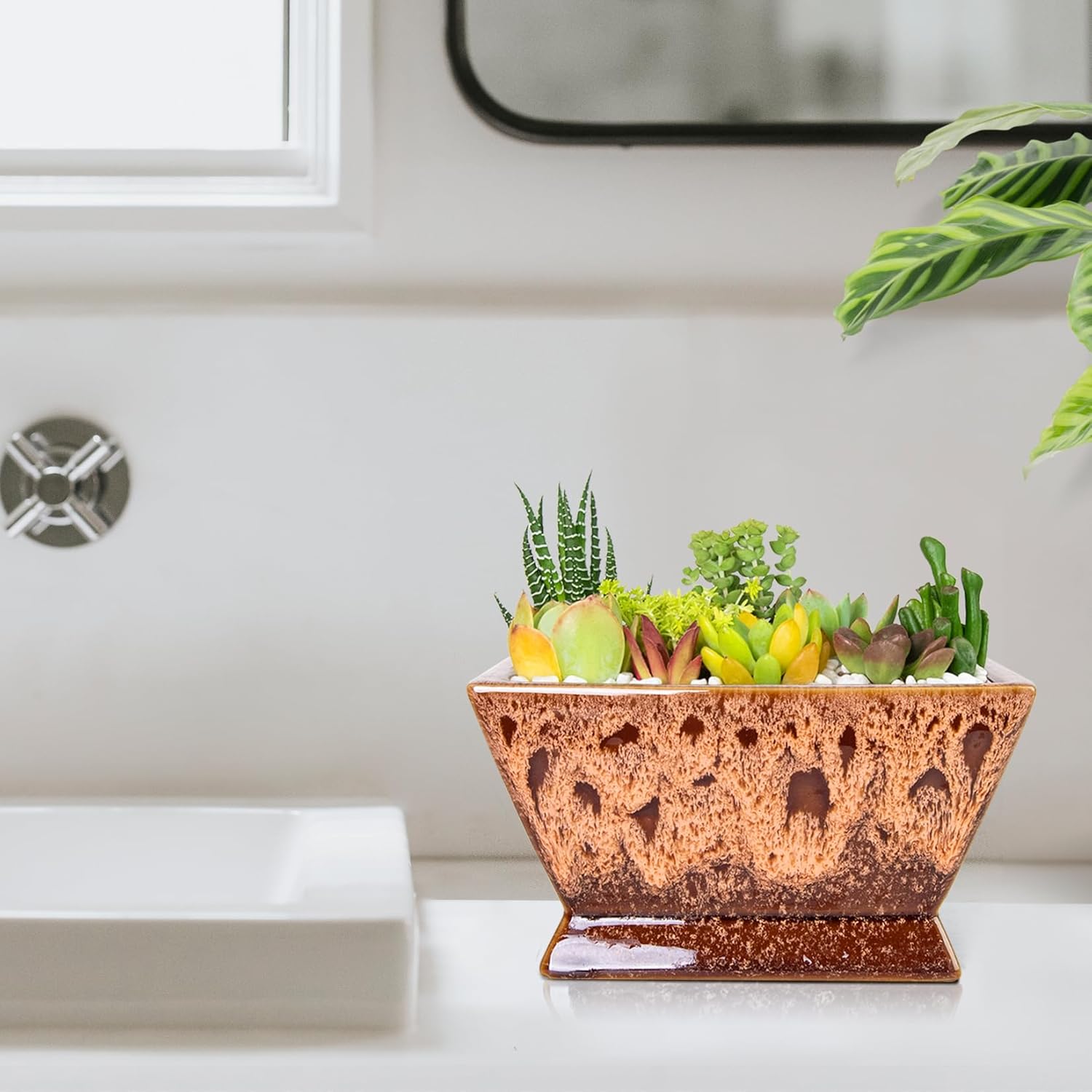 ARTKETTY Succulent Pots - 7 Inch Large Plant Pot with Drainage, Shallow Ceramic Succulent Planters for Indoor Outdoor Plants, Modern Cactus Bonsai Plant Container Decorative Home Office