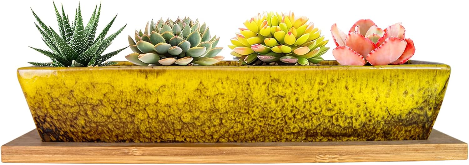 ARTKETTY Succulent Pots, 9.8 Inch Ceramic Succulent Planters with Drainage Small Bonsai Pot with Bamboo Tray, Mini Cactus Flower Planter Pot Shallow Rectangular Window Planters for Indoor Plants