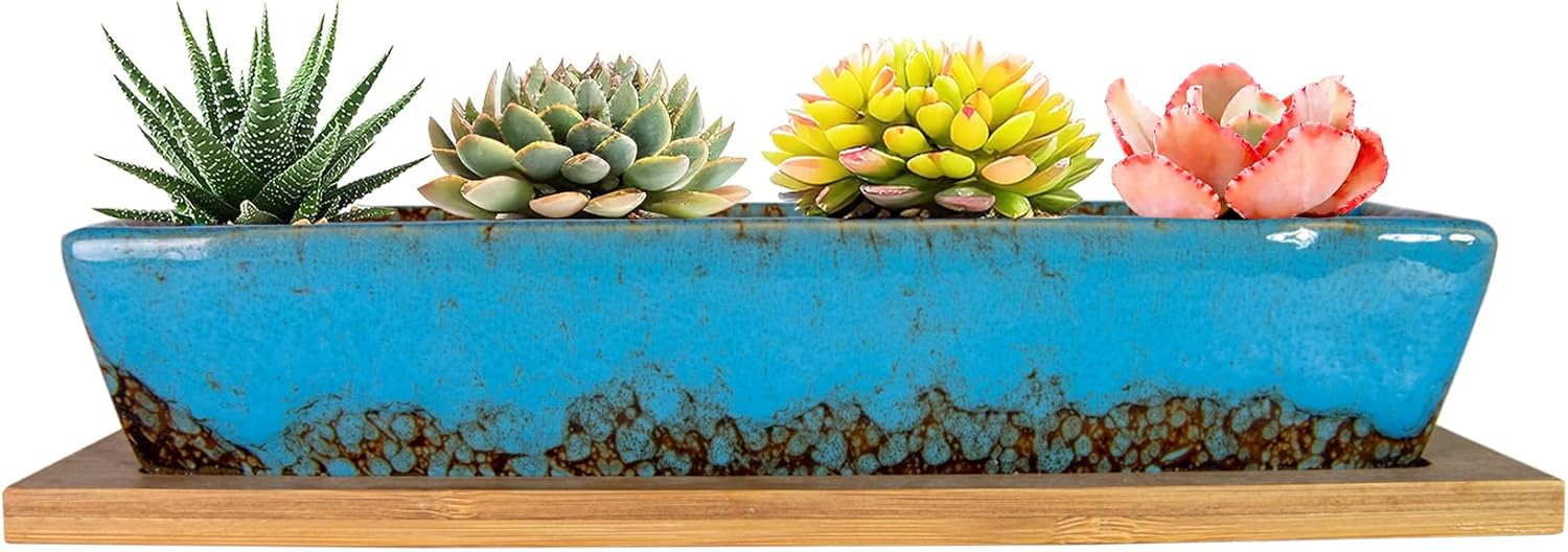 ARTKETTY Succulent Pots, 9.8 Inch Ceramic Succulent Planters with Drainage Small Bonsai Pot with Bamboo Tray, Mini Cactus Flower Planter Pot Shallow Rectangular Window Planters for Indoor Plants