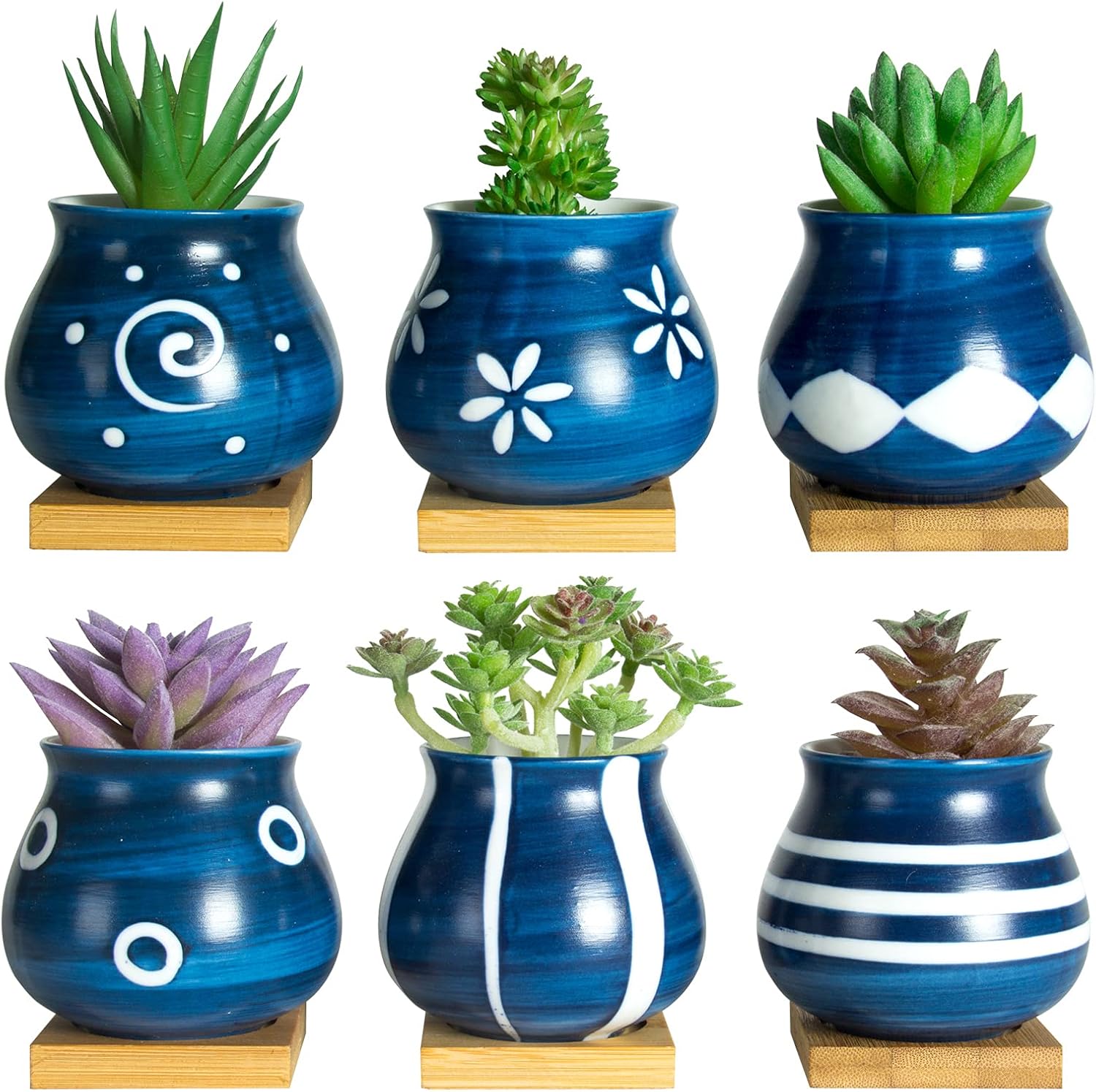 cute little pots for succulents Cute Succulent Pots with Drainage Bamboo Tray 3 inch Succulent Planters – artketty