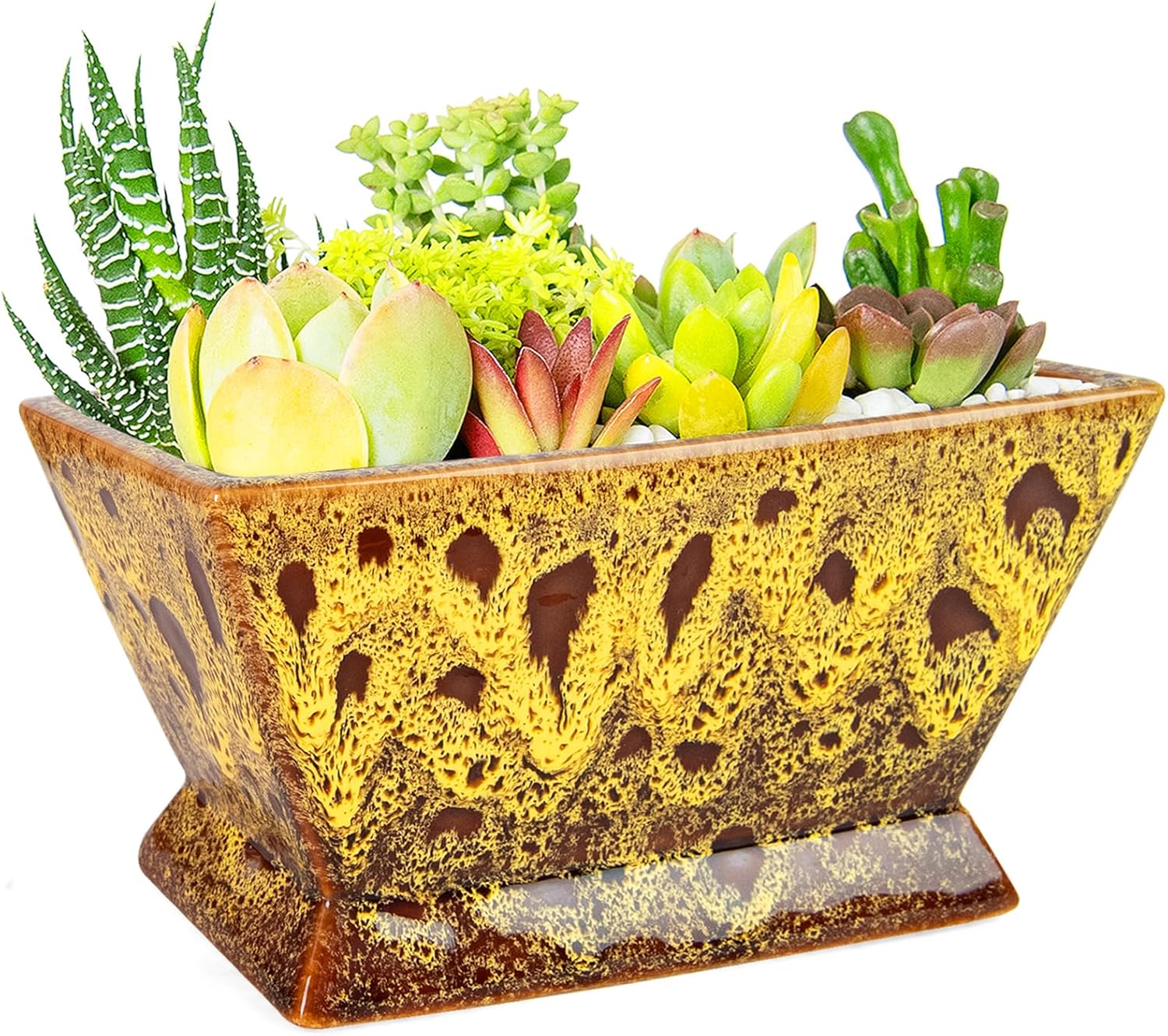 ARTKETTY Succulent Pots - 7 Inch Large Plant Pot with Drainage, Shallow Ceramic Succulent Planters for Indoor Outdoor Plants, Modern Cactus Bonsai Plant Container Decorative Home Office