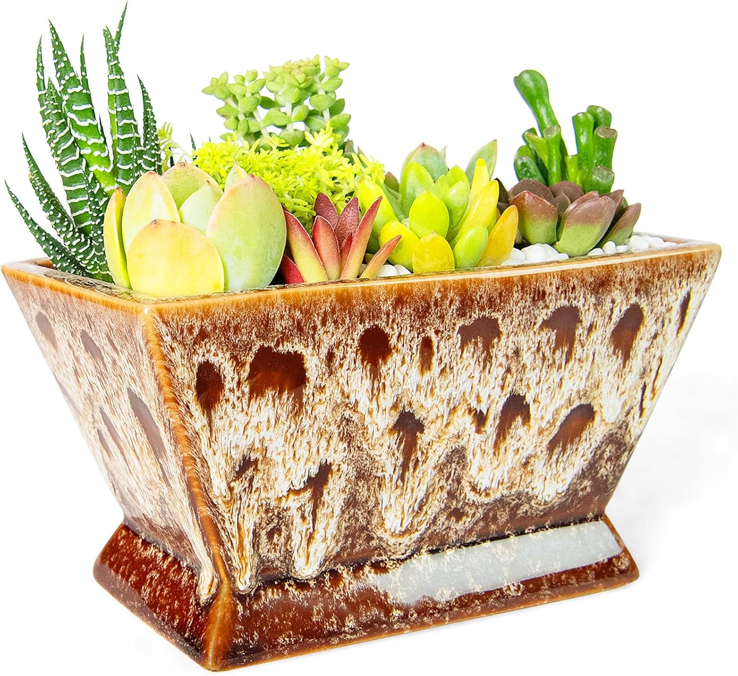 ARTKETTY Succulent Pots - 7 Inch Large Plant Pot with Drainage, Shallow Ceramic Succulent Planters for Indoor Outdoor Plants, Modern Cactus Bonsai Plant Container Decorative Home Office