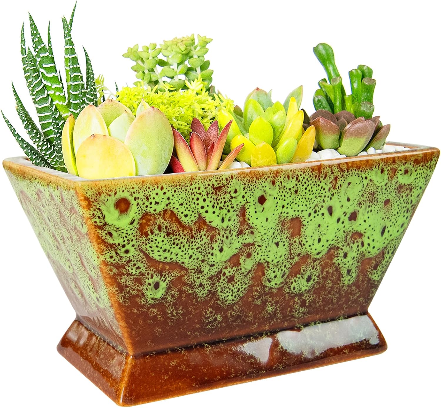 ARTKETTY Succulent Pots - 7 Inch Large Plant Pot with Drainage, Shallow Ceramic Succulent Planters for Indoor Outdoor Plants, Modern Cactus Bonsai Plant Container Decorative Home Office