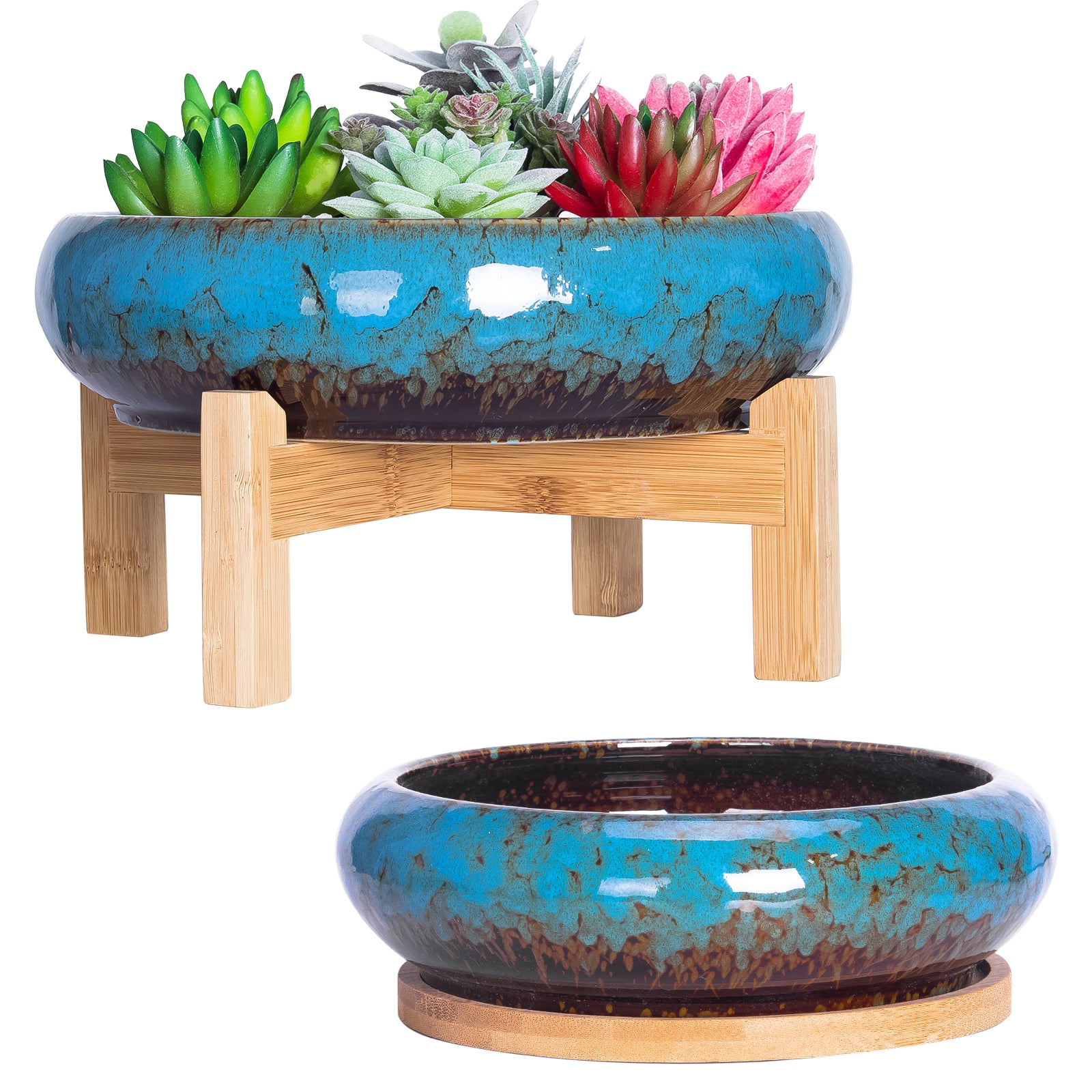 small shallow plant pots Succulent Pots, Large Succulent Planter Pots with Drainage Tray Shall