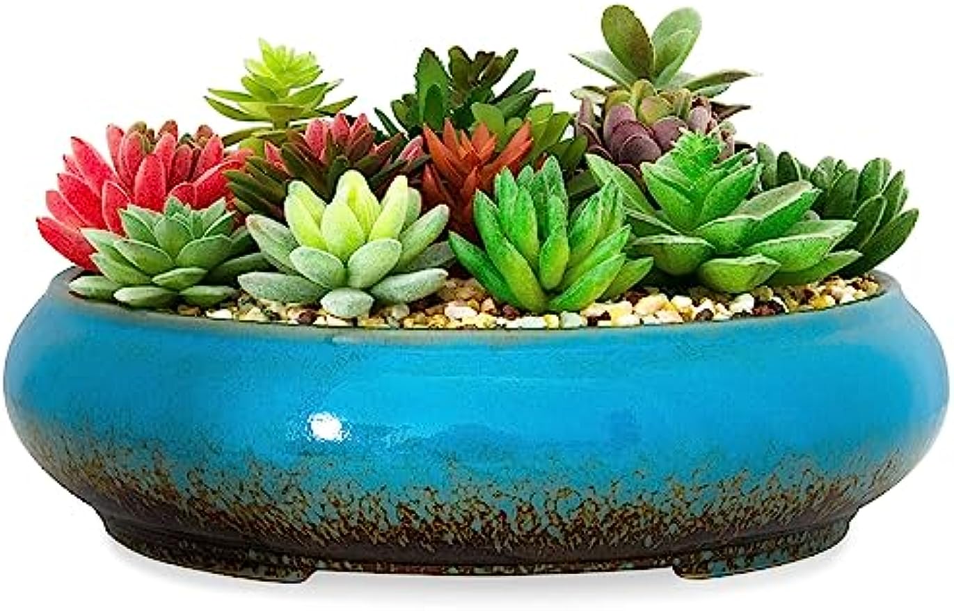 flat planter pots Succulent Pots