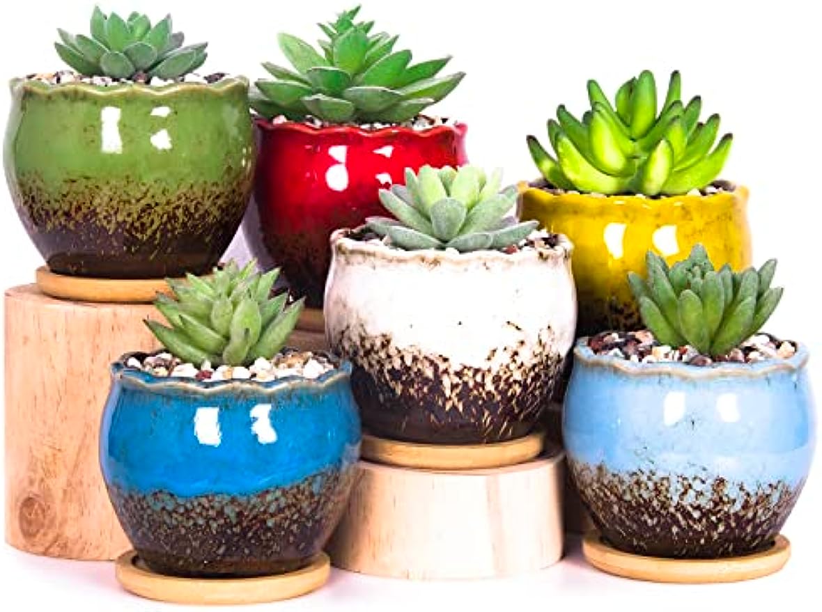 small colorful plant pots Succulent Pots, 4 Inch Small Succulent Planter Pot with Drainage Bamb