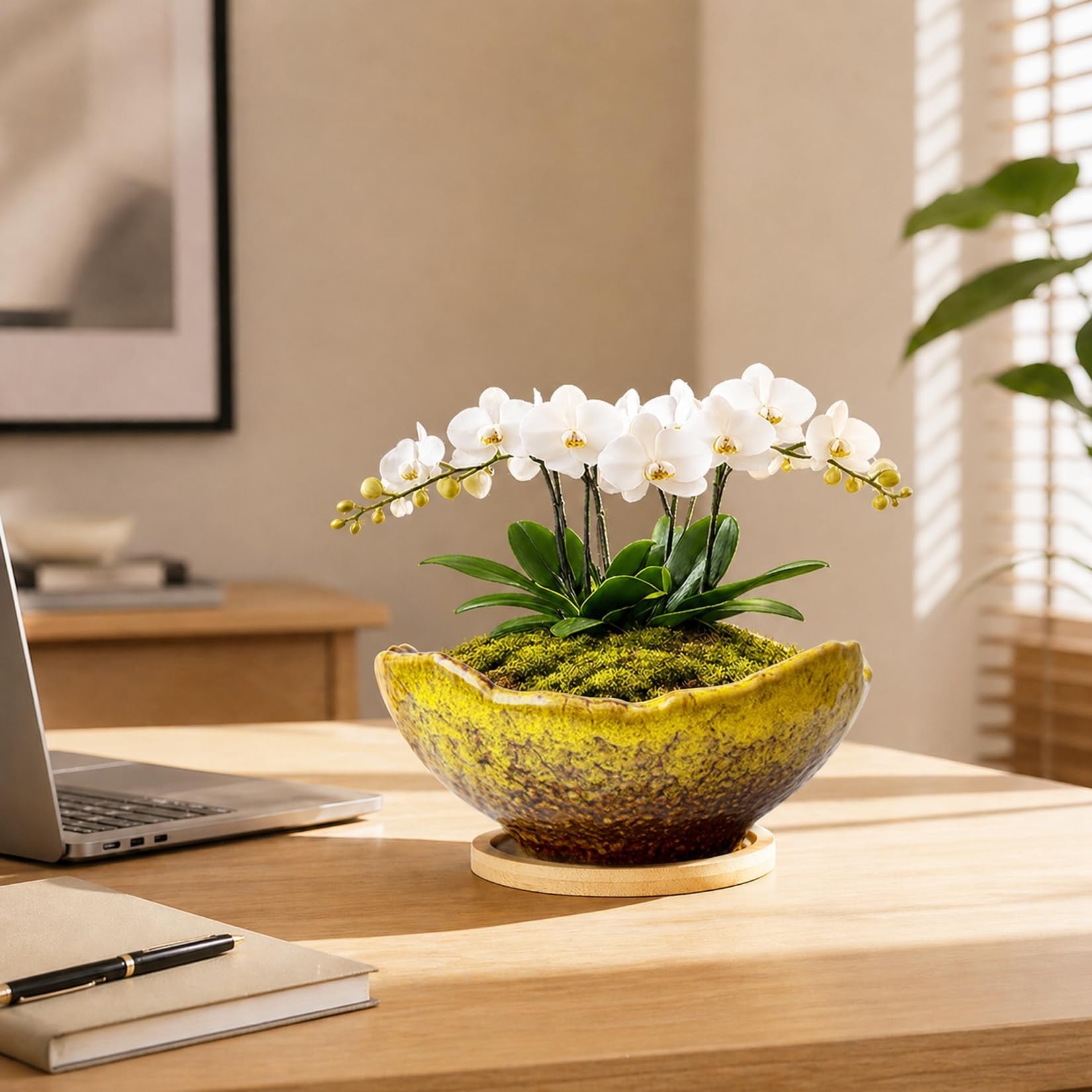 ARTKETTY Bonsai Pots - 9.06 Inch Large Plant Pots, Unique Succulent Pots with Drainage Tray, Ceramic Planters for Indoor Cactus Flower Plants Round Bonsai Tree Pots Decorative Home Office