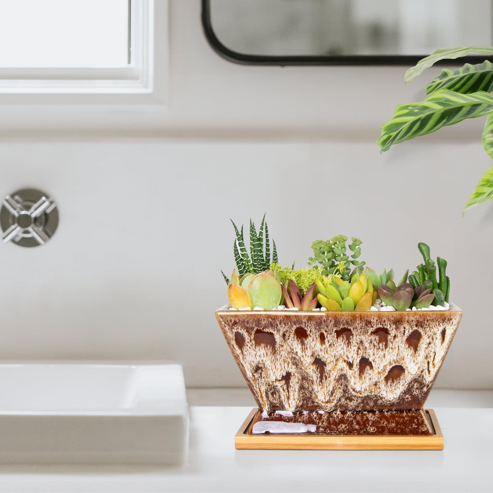 ARTKETTY Succulent Pots - 7 Inch Large Plant Pots with Drainage Tray | Shallow Ceramic Pots for Indoor Plants, Modern Cactus Bonsai Plant Container Decorative Home Office