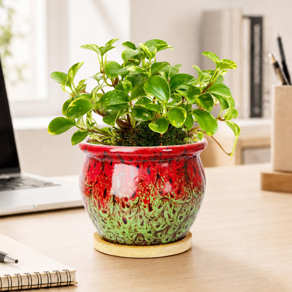 ARTKETTY 4.5 Inch Plant Pots, Small Pots for Plant Indoor, Ceramic Planter with Tray