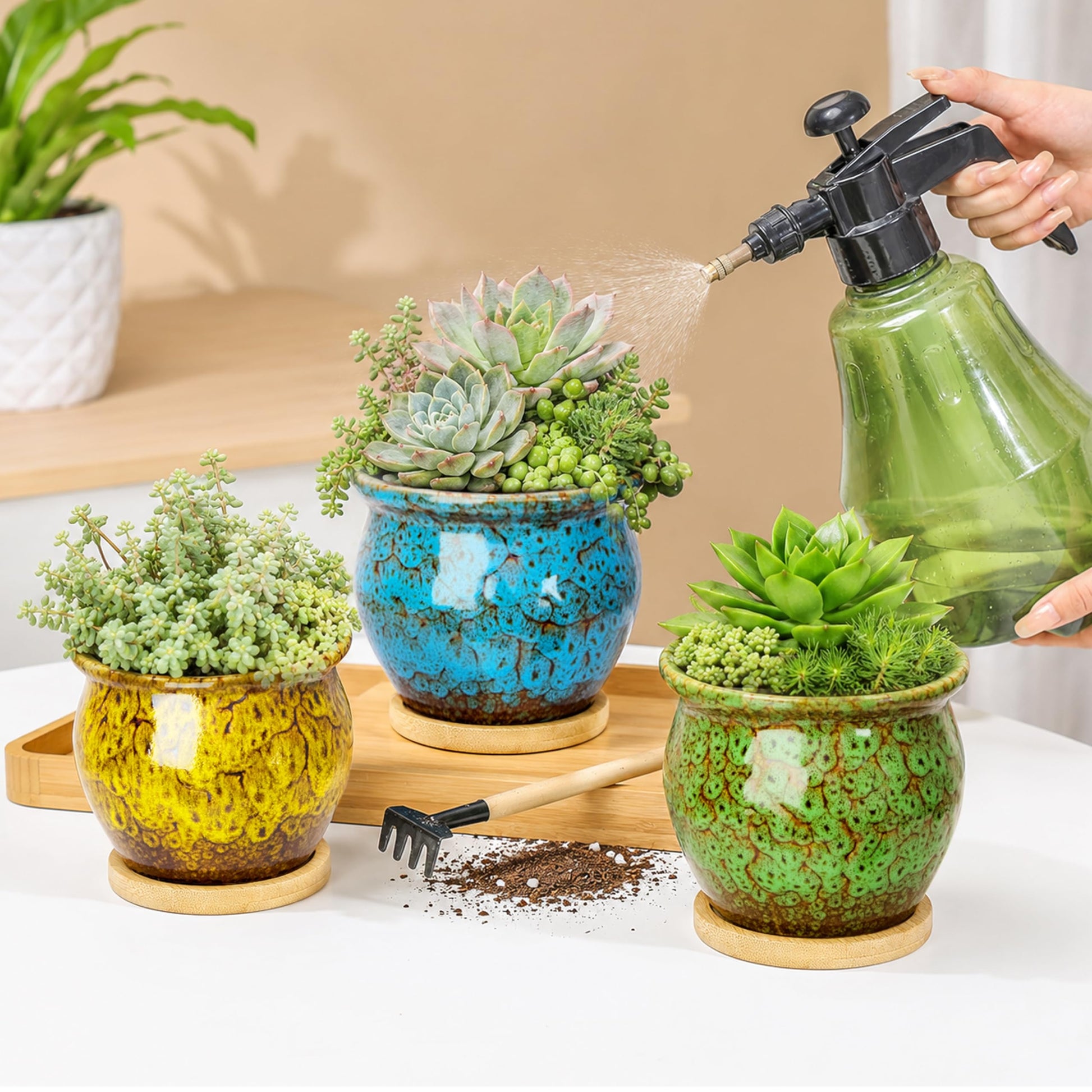 ARTKETTY Succulent Pots, 4 Pack Small Plant Pots with Drainage Tray | 4 Inch Flower Pots, Ceramic Planters for Indoor, Home Office Desk Decor