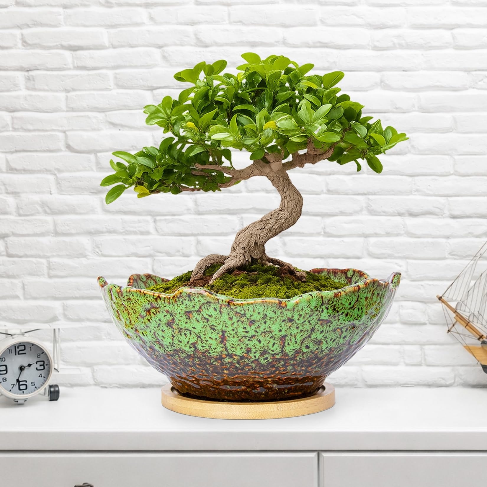 ARTKETTY Bonsai Pots - 9.06 Inch Large Plant Pots, Unique Succulent Pots with Drainage Tray, Ceramic Planters for Indoor Cactus Flower Plants Round Bonsai Tree Pots Decorative Home Office
