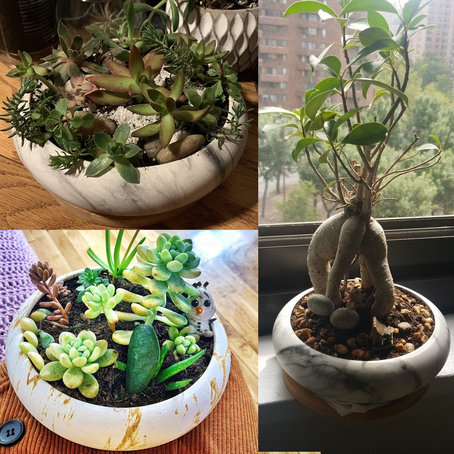 ARTKETTY Marble Ceramic Succulent Cactus Plant Pot, Large Round Bonsai Planter Bowl with Drainage Bamboo Tray, Decorative Garden Flower Plant Container Perfect for Home/Office Decor