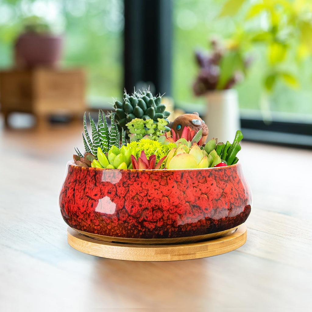 ARTKETTY Succulent Pots - 8 Inch Large Plant Pots, Shallow Planters | Ceramic Bonsai Pots with Drainage Tray, Round Cactus Flower Plant Container Bowl Decorative Home Garden