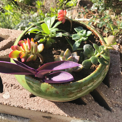 7.3 inch Round Succulent Planter Pots with Drainage Hole Bonsai Pots Garden Decorative Cactus Stand Ceramic Glazed Flower Container Green, with Bamboo Tray