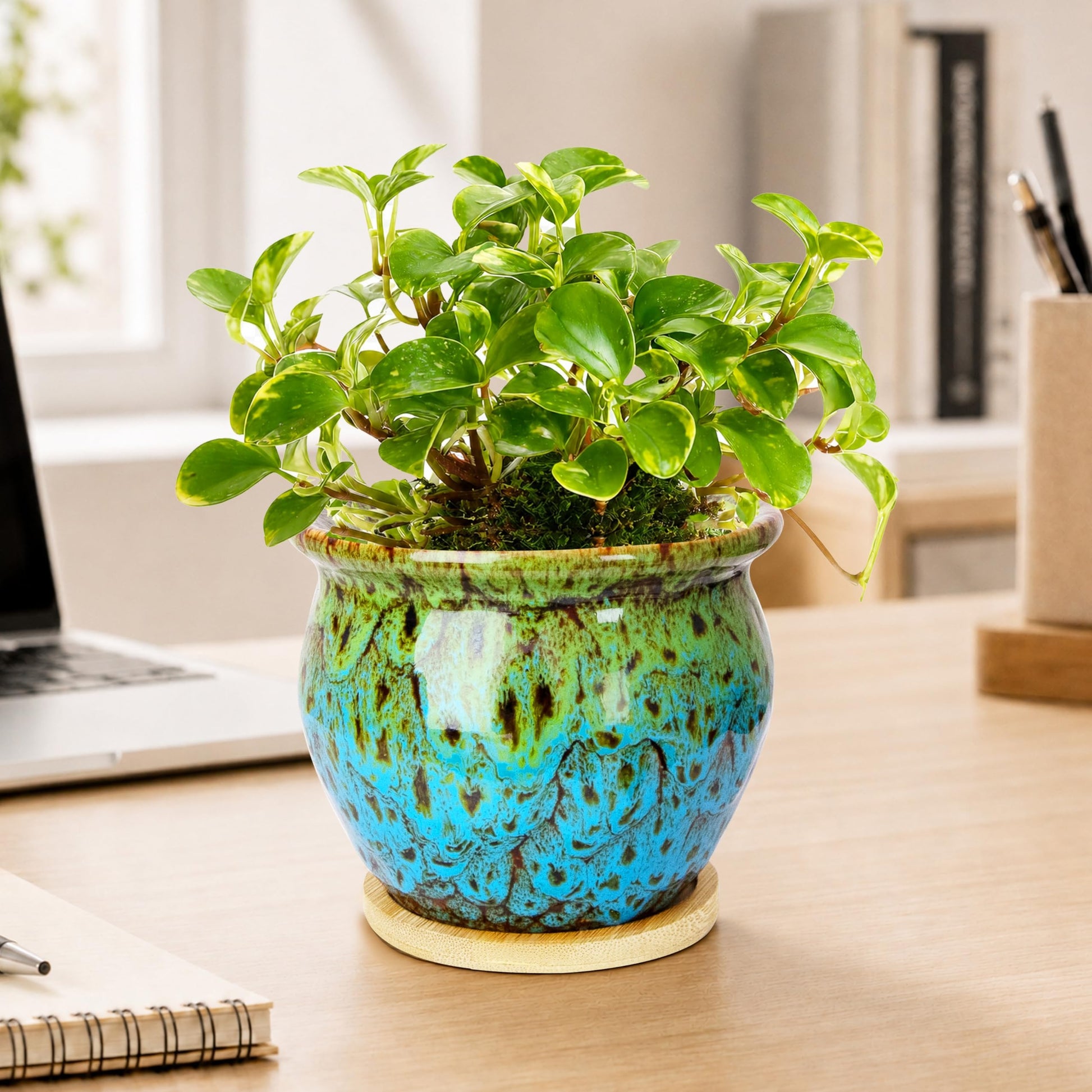 ARTKETTY 4.5 Inch Plant Pots, Small Pots for Plant Indoor, Ceramic Planter with Tray
