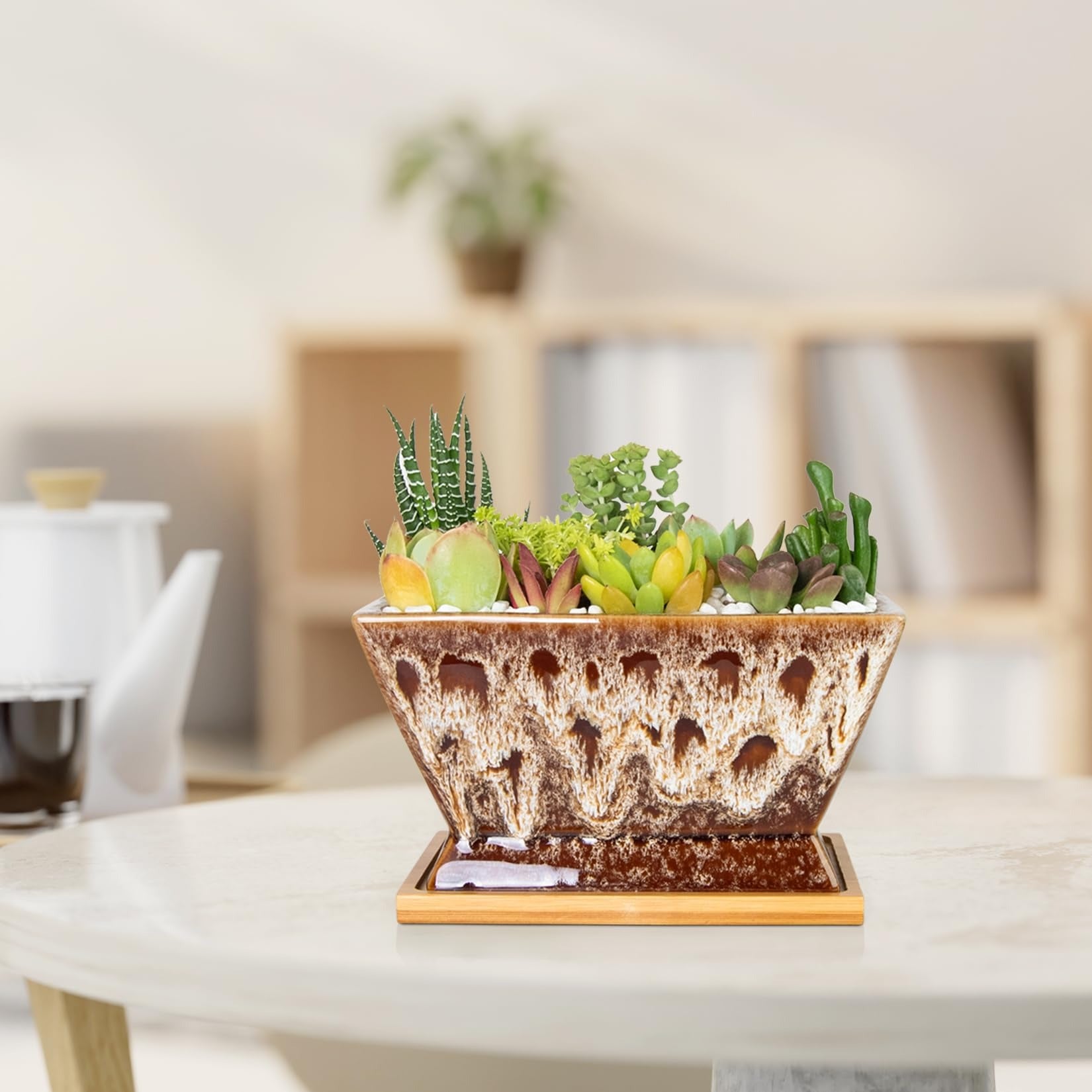 ARTKETTY Succulent Pots - 7 Inch Large Plant Pots with Drainage Tray | Shallow Ceramic Pots for Indoor Plants, Modern Cactus Bonsai Plant Container Decorative Home Office