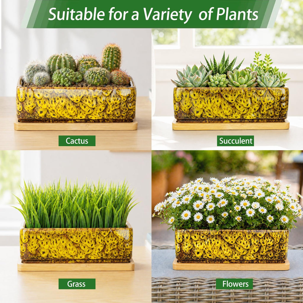 ARTKETTY Succulent Pots - 7 Inch Large Succulent Planters with Drainage Tray, Window Sill Planter, Long Rectangle Ceramic Pots for Indoor Cactus Plants Shallow Bonsai Window Box for Home Garden Decor