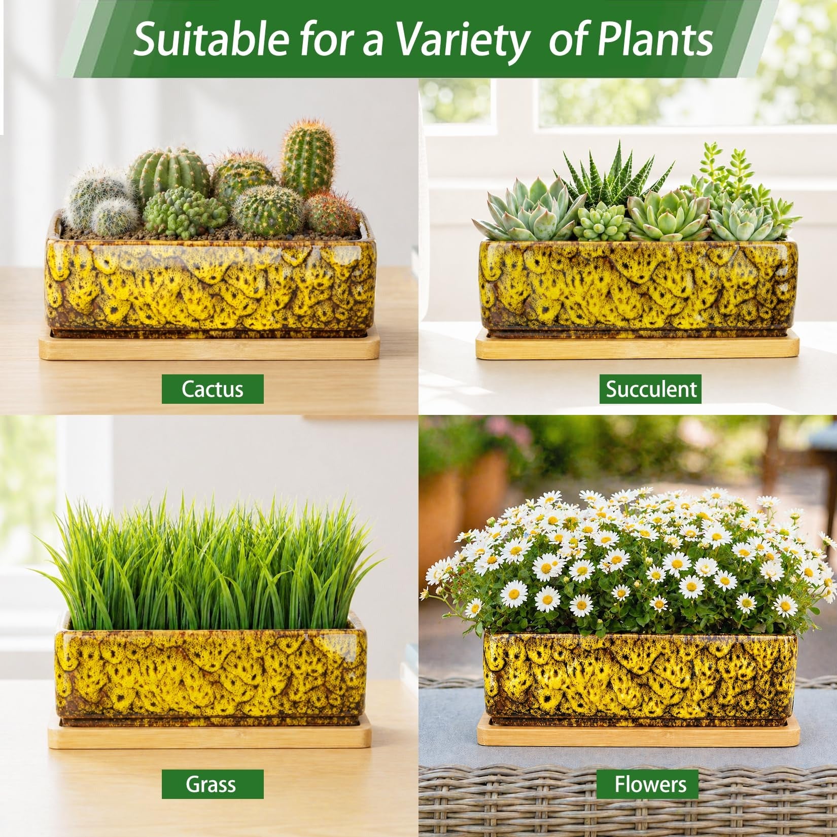 ARTKETTY Succulent Pots - 7 Inch Large Succulent Planters with Drainage Tray, Window Sill Planter, Long Rectangle Ceramic Pots for Indoor Cactus Plants Shallow Bonsai Window Box for Home Garden Decor