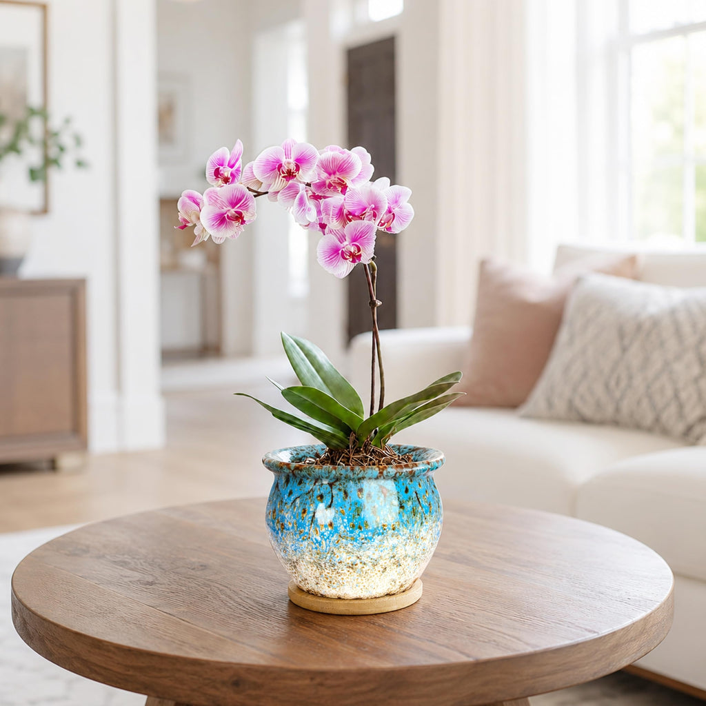 ARTKETTY 4.5 Inch Plant Pots, Small Pots for Plant Indoor, Ceramic Planter with Tray