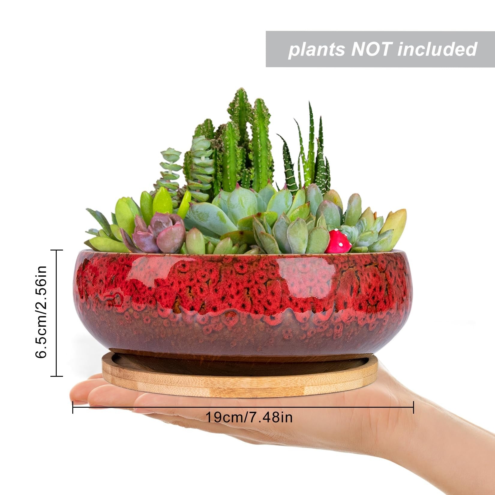 ARTKETTY Succulent Pots, 7.5 Inch Large Plant Pots with Bamboo Tray | Shallow Bonsai Pots with Drainage, Ceramic Planter for Indoor Plants, Cactus, Home Office Desk Decor