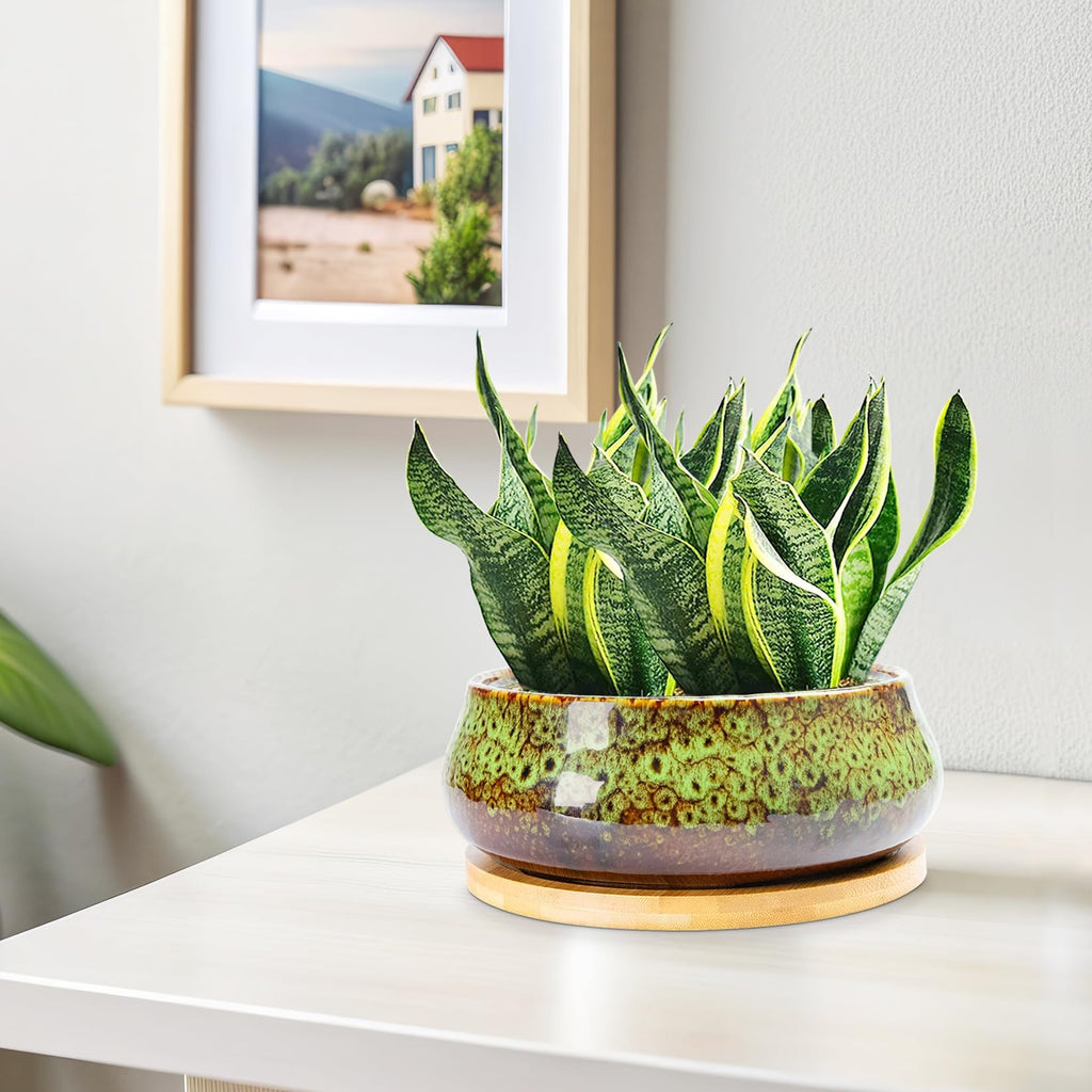 ARTKETTY Succulent Pots - 8 Inch Large Plant Pots, Shallow Planters | Ceramic Bonsai Pots with Drainage Tray, Round Cactus Flower Plant Container Bowl Decorative Home Garden