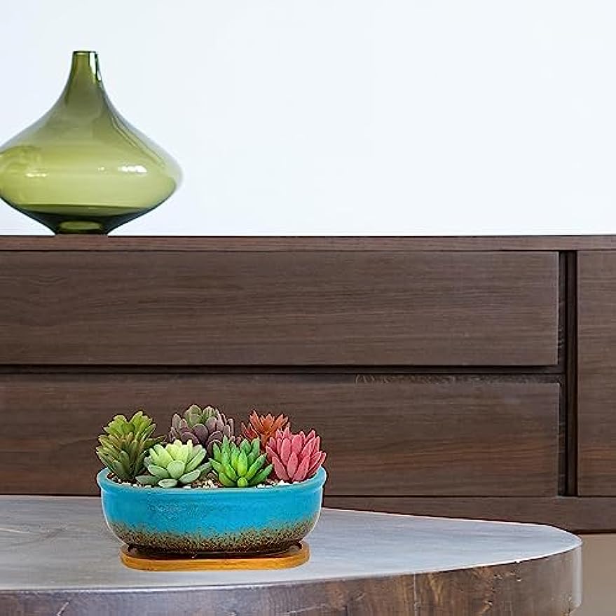 long skinny succulent planter Succulent Pots, 7.9 Inch Long Rectangular Succulent Planters with Dra – artketty