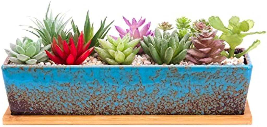 large potted succulent plants ARTKETTY Succulent Pots