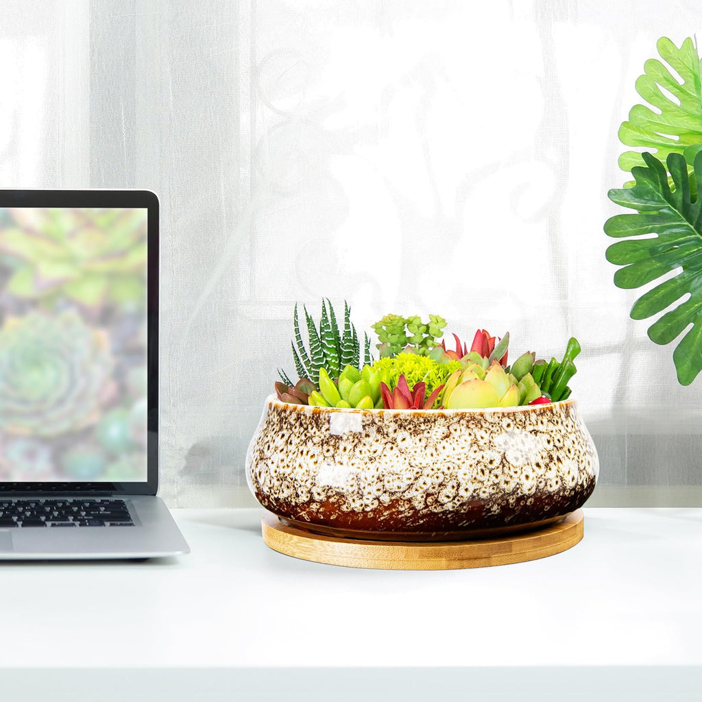 ARTKETTY Succulent Pots - 8 Inch Large Plant Pots, Shallow Planters | Ceramic Bonsai Pots with Drainage Tray, Round Cactus Flower Plant Container Bowl Decorative Home Garden