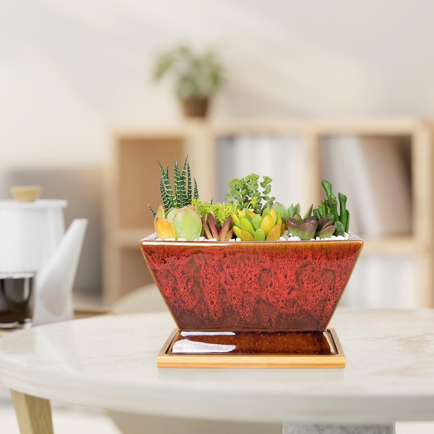 ARTKETTY Succulent Pots - 7 Inch Large Plant Pots with Drainage Tray | Shallow Ceramic Pots for Indoor Plants, Modern Cactus Bonsai Plant Container Decorative Home Office