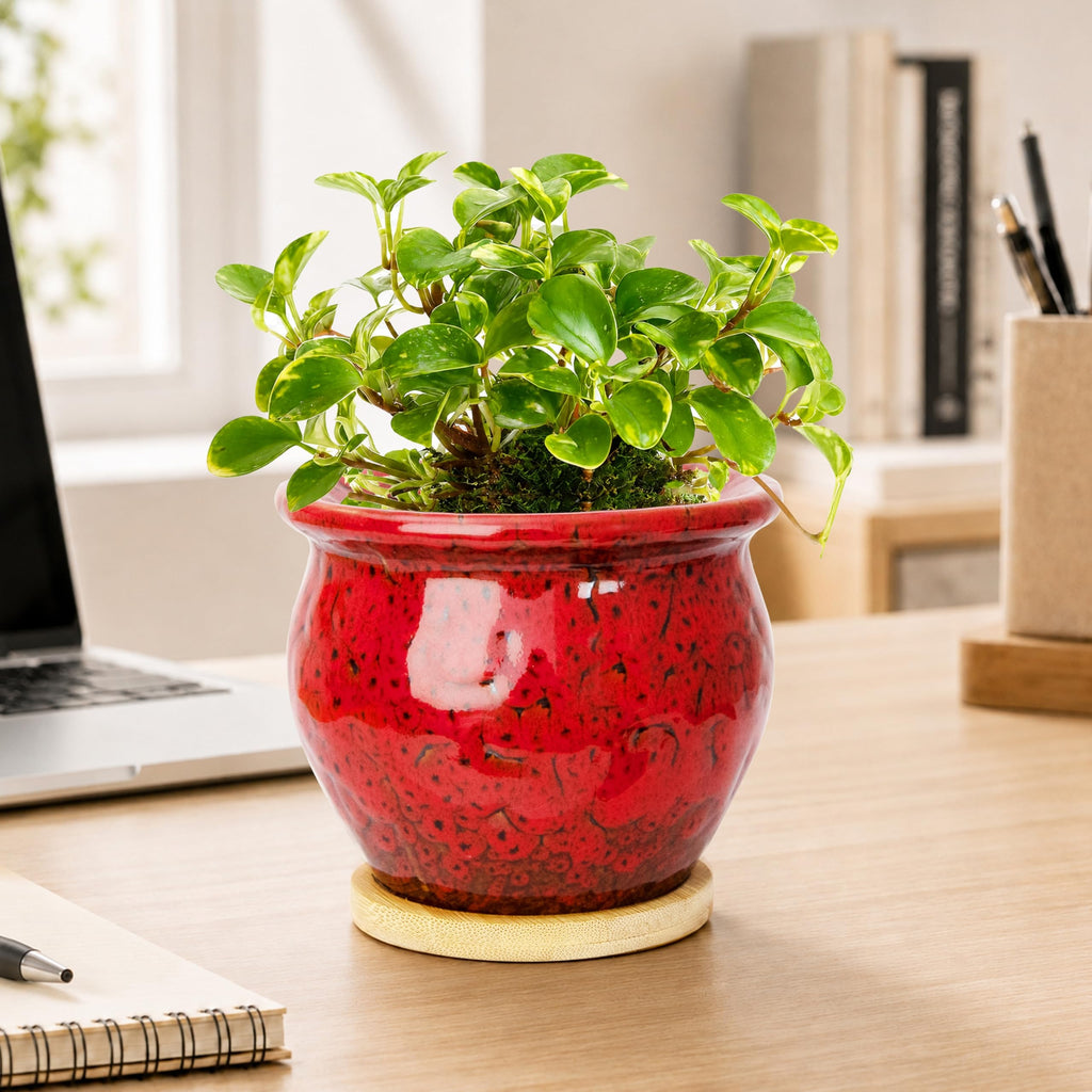 ARTKETTY 4.5 Inch Plant Pots, Small Pots for Plant Indoor, Ceramic Planter with Tray