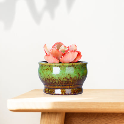 Cute 4.3 Inch Succulent Planter Pot Modern Ceramic Cactus Glaze Flowers Pots with Drainage