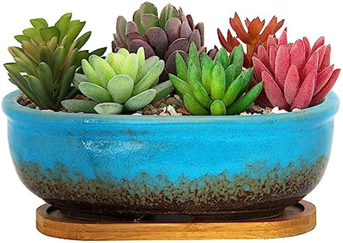 cactus and succulent planters Succulent Pots, 7.9 Inch Long Rectangular Succulent Planters with Dra – artketty