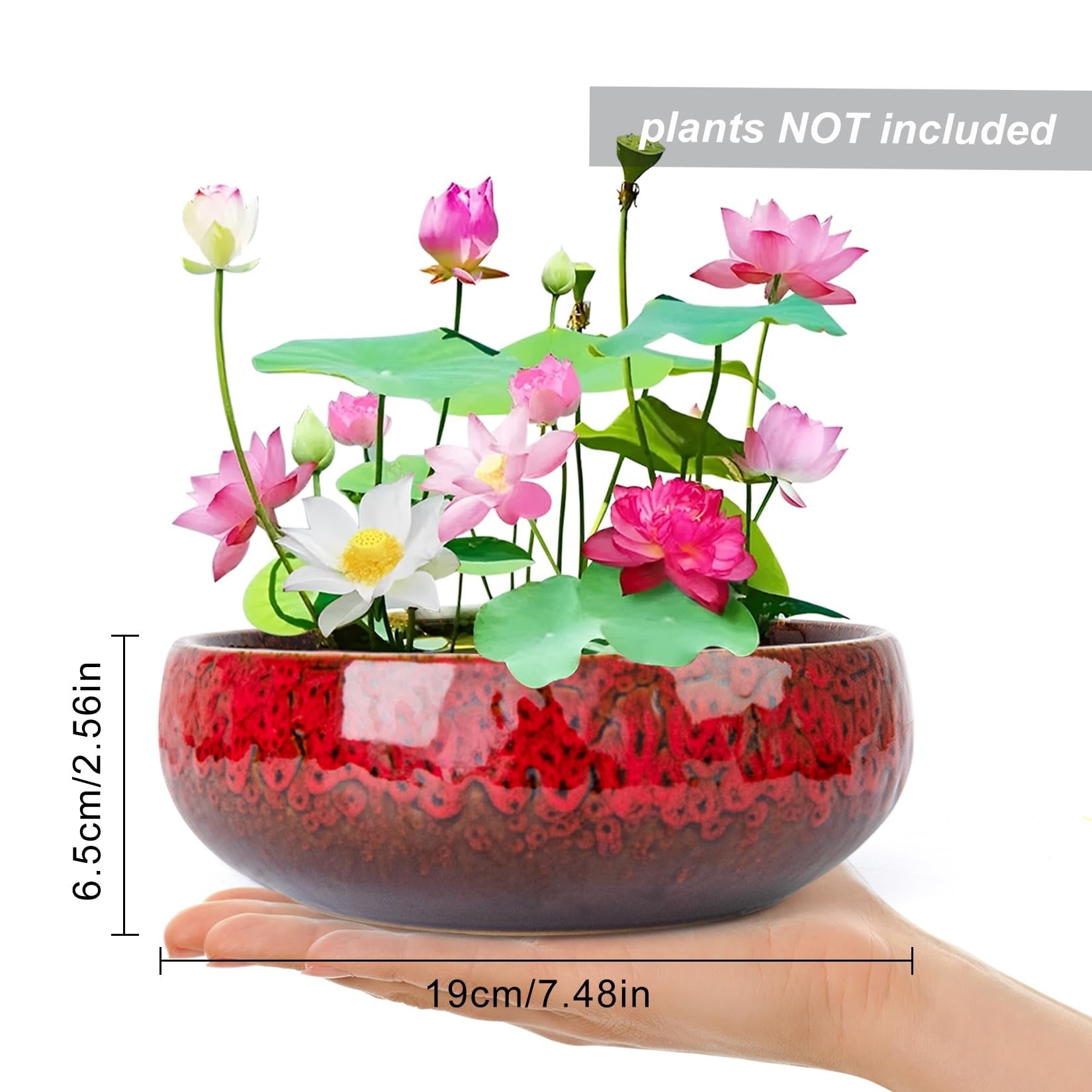ARTKETTY Lotus Bowl Planter - 8 Inch Large Lotus Flower Bowl for Water Plants, Ceramic Bonsai Bowl for Hydroponic Plant Succulent Plants Indoors Outdoor