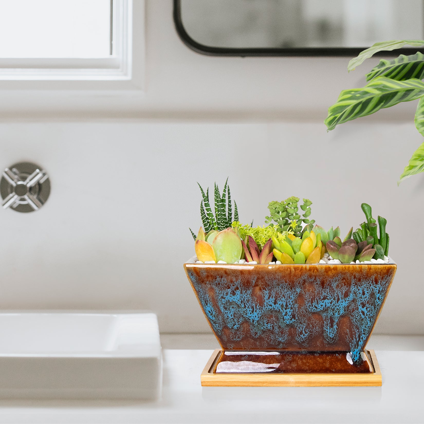 ARTKETTY Succulent Pots - 7 Inch Large Plant Pots with Drainage Tray | Shallow Ceramic Pots for Indoor Plants, Modern Cactus Bonsai Plant Container Decorative Home Office