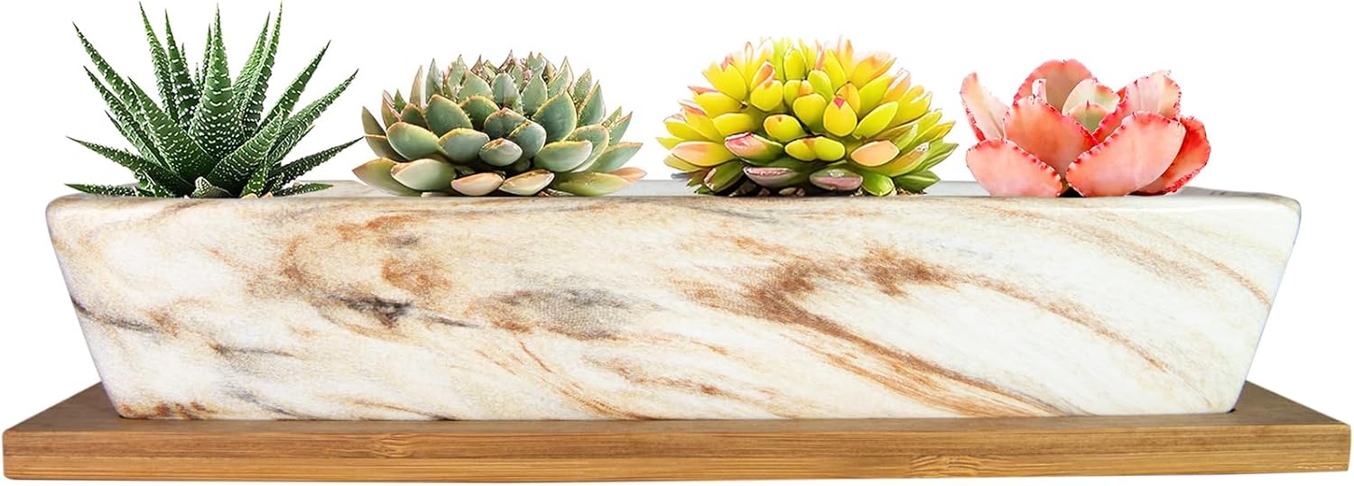 ARTKETTY Succulent Pots, 9.8 Inch Ceramic Succulent Planters with Drainage Small Bonsai Pot with Bamboo Tray, Mini Cactus Flower Planter Pot Shallow Rectangular Window Planters for Indoor Plants