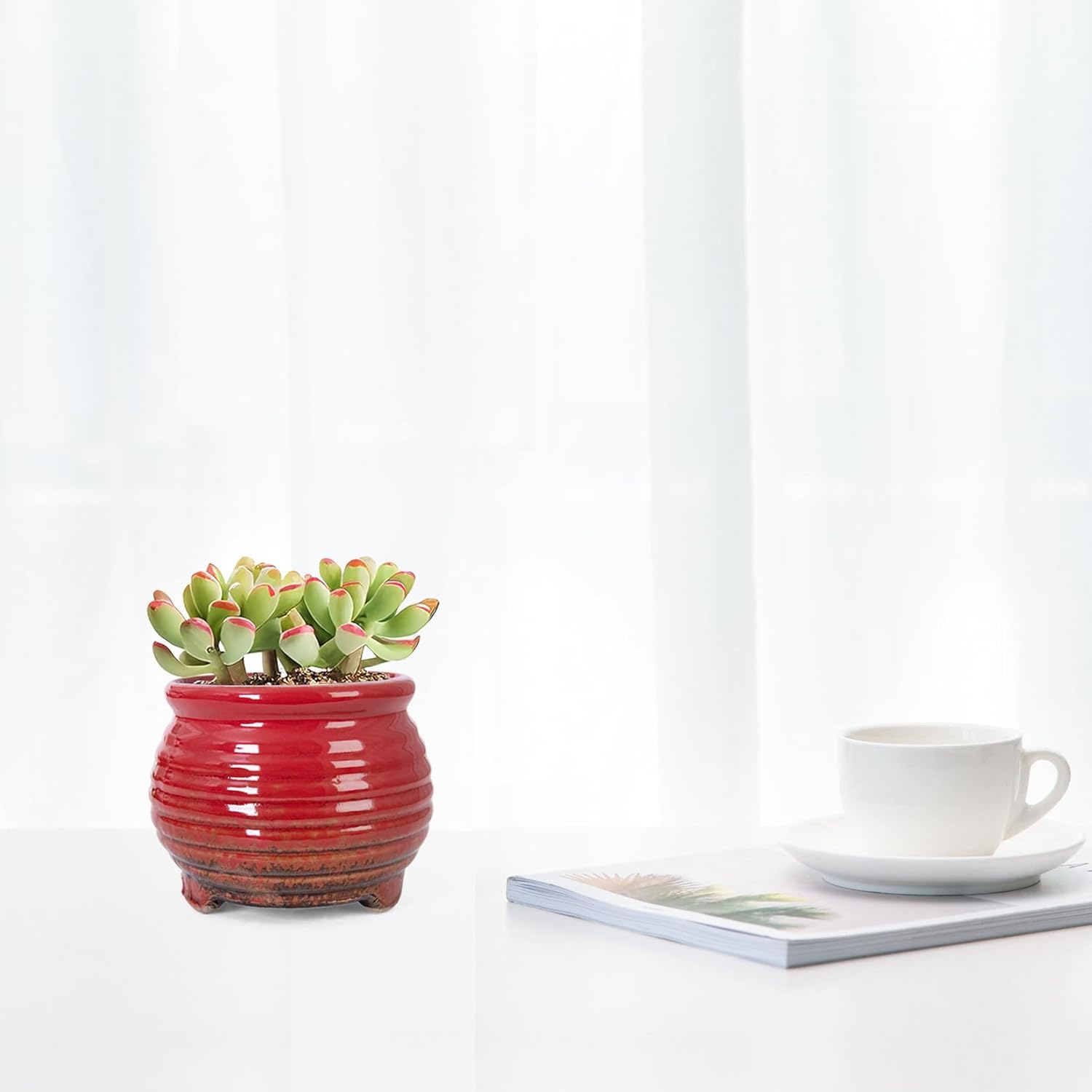 ARTKETTY Succulent Pots - Small Succulent Plant Pot with Drainage Pack of 6, Ceramic Cactus Planter Pots for Indoor Unique Flower Planter Container for Home Office Decor