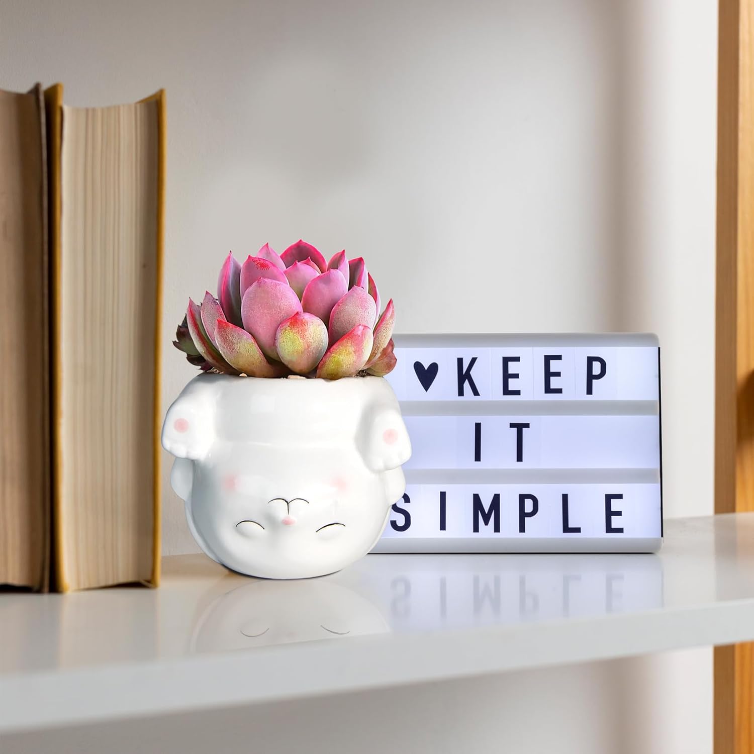 Cute Animal Ceramics Planter Succulent Pot with Drainage, 4.4 Inch Plant Pot for Indoor Mini Plants Flower Cactus, Home and Garden Decor Fun Rabbit Gifts