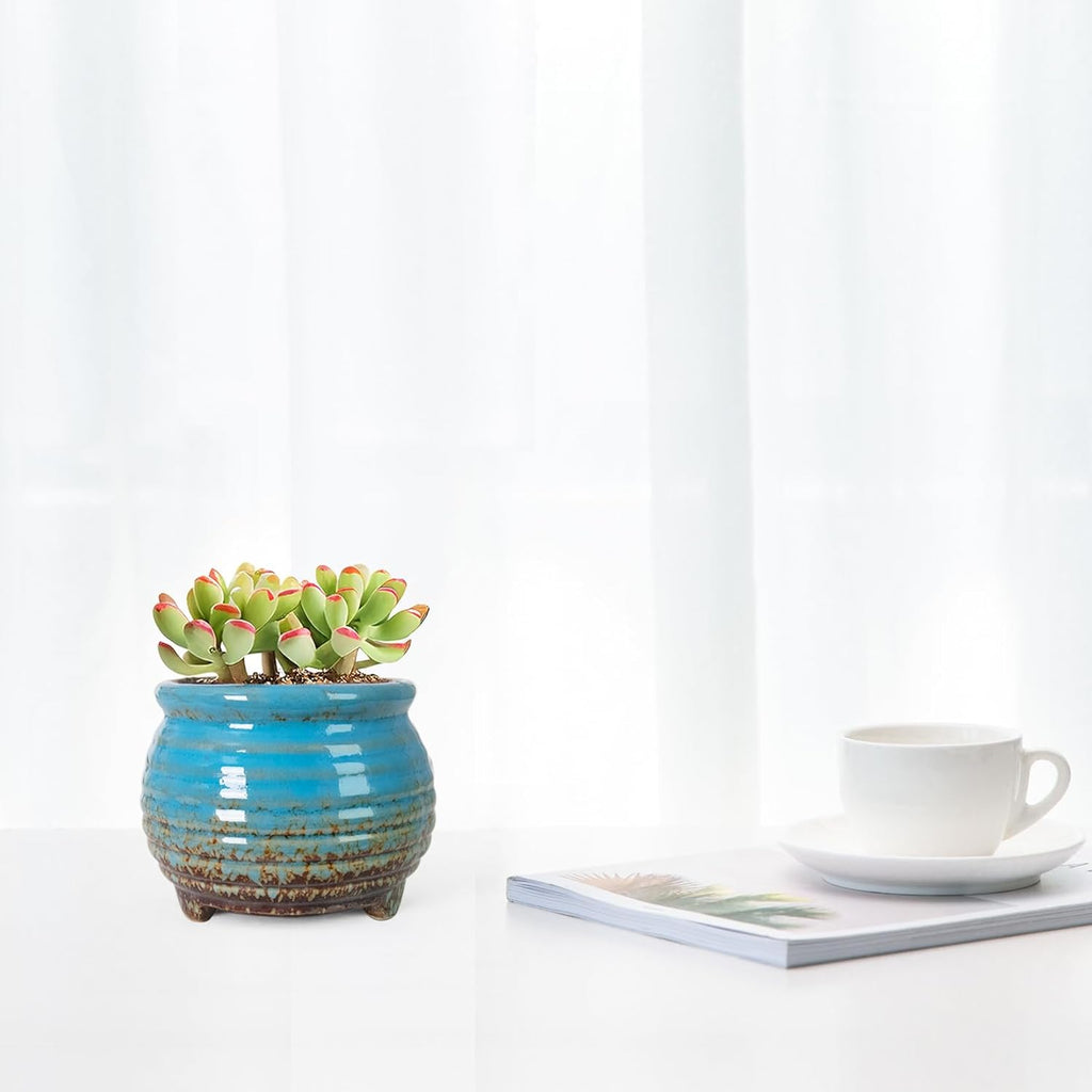 ARTKETTY Succulent Pots - Small Succulent Plant Pot with Drainage Pack of 6, Ceramic Cactus Planter Pots for Indoor Unique Flower Planter Container for Home Office Decor