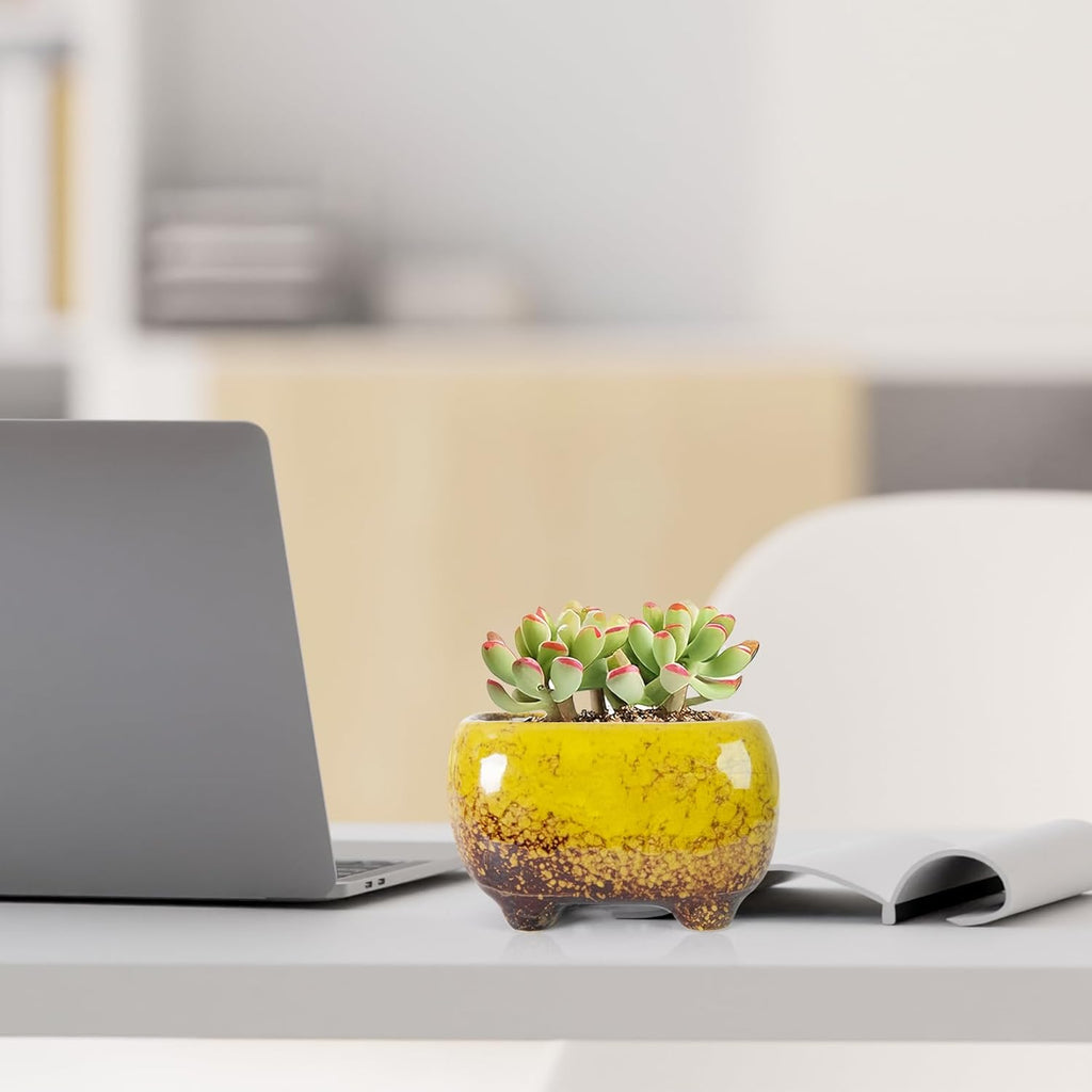 ARTKETTY Succulent Pots - Small Succulent Plant Pot with Drainage Set of 6, Ceramic Cactus Planter Pots for Indoor Unique Flower Planter Container for Home Office Decor