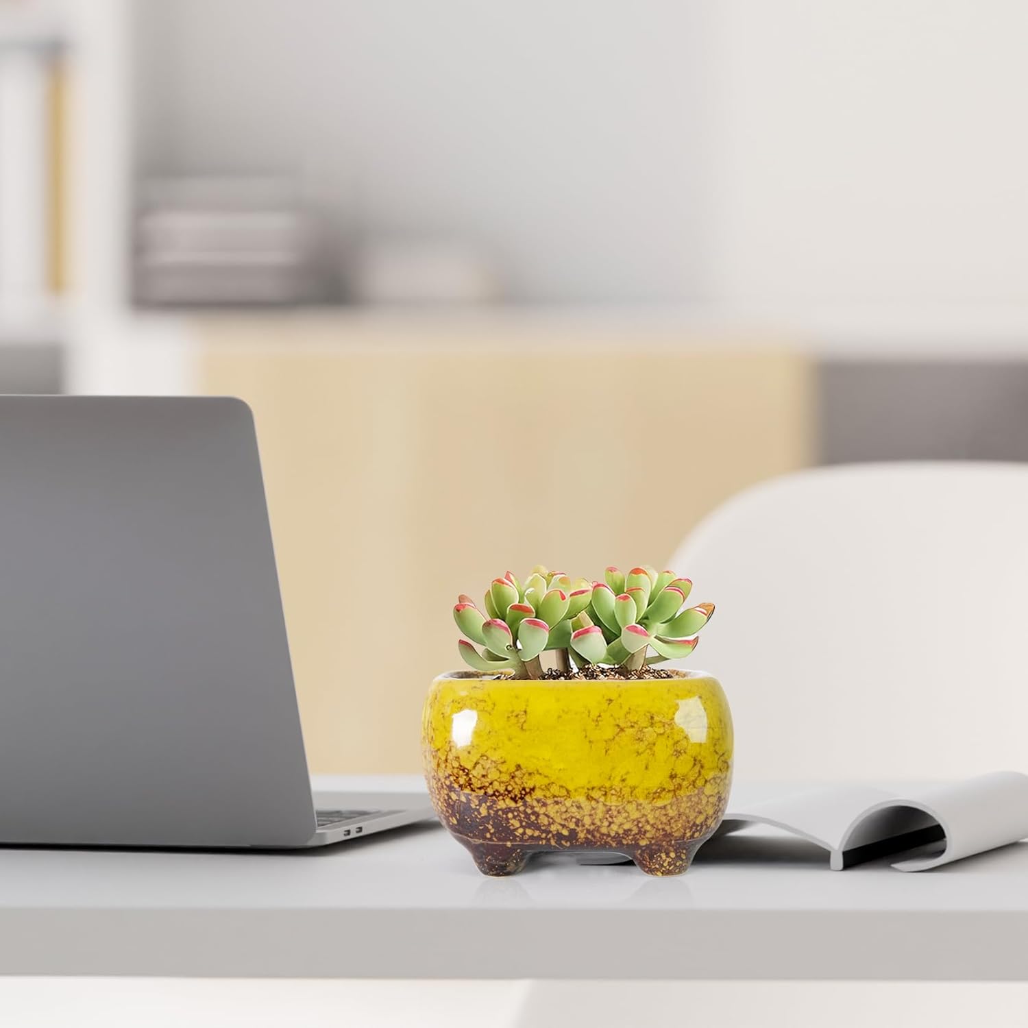 ARTKETTY Succulent Pots - Small Succulent Plant Pot with Drainage Set of 6, Ceramic Cactus Planter Pots for Indoor Unique Flower Planter Container for Home Office Decor