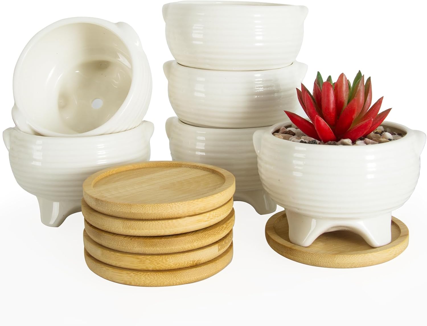 ARTKETTY Succulent Pots - 4 Inch Small Plant Pots with Drainage Trays Set of 6, Ceramic Pots for Indoor Plants White Cactus Flower Planter Container Decorative Garden Home