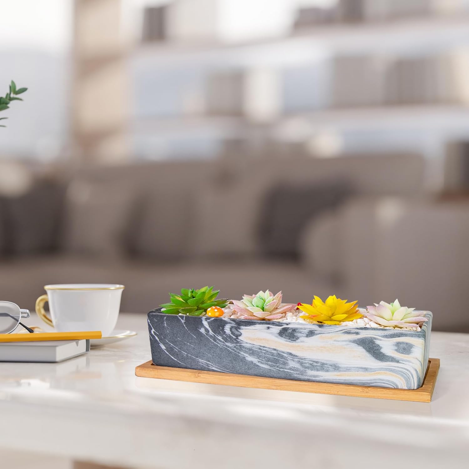 Succulent Pots - 12.1 Inch Large Succulent Pots with Drainage Tray, Window Sill Planter, Long Rectangle Ceramic Pots for Indoor Cactus/Succulent Plants Shallow Bonsai Window Box for Home Garden Decor