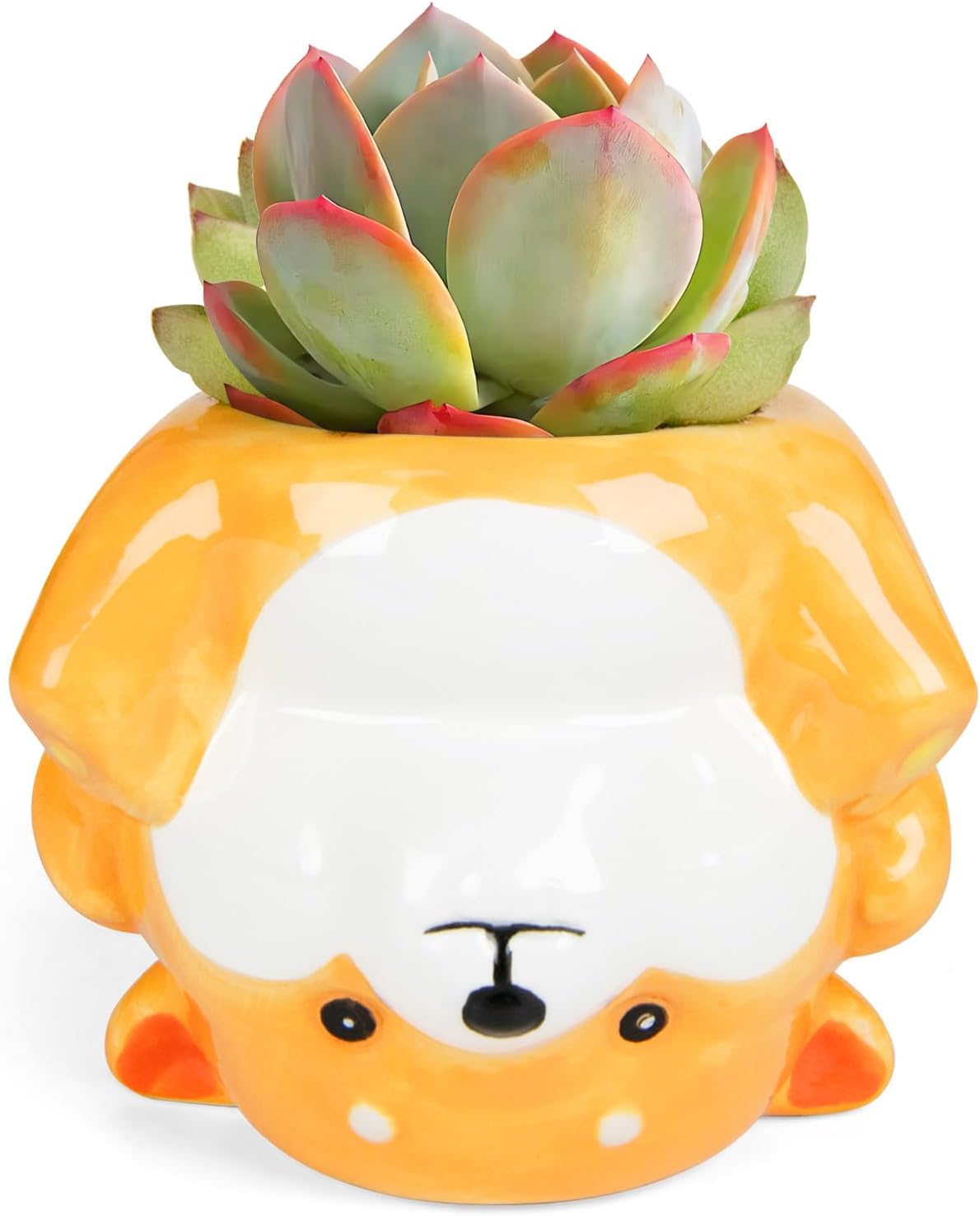 Cute Animal Ceramics Planter Succulent Pot with Drainage, 4.4 Inch Plant Pot for Indoor Mini Plants Flower Cactus, Home and Garden Decor Fun Panda Gifts