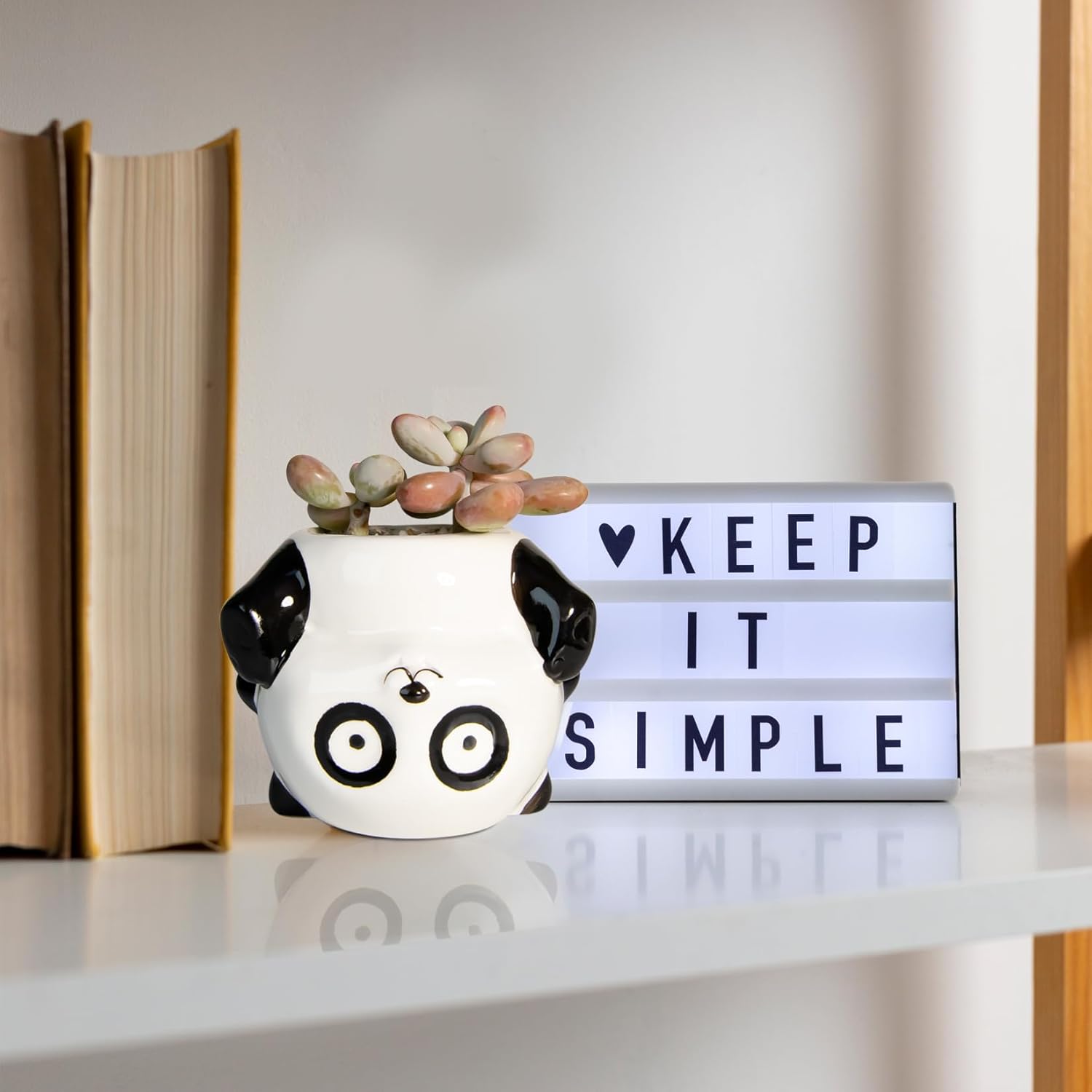 Cute Animal Ceramics Planter Succulent Pot with Drainage, 4.4 Inch Plant Pot for Indoor Mini Plants Flower Cactus, Home and Garden Decor Fun Panda Gifts