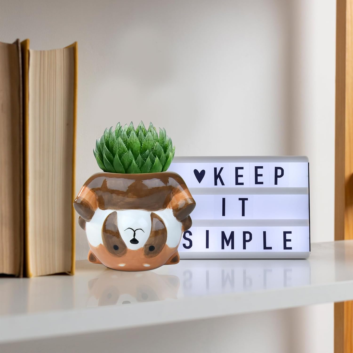 Cute Animal Ceramics Planter Succulent Pot with Drainage, 4.4 Inch Plant Pot for Indoor Mini Plants Flower Cactus, Home and Garden Decor Fun Raccoon Gifts