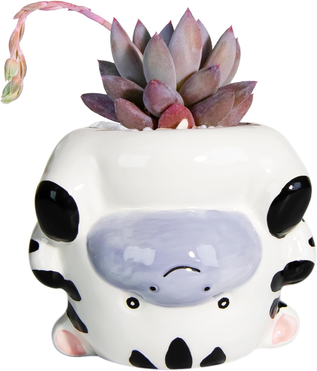 Cute Animal Ceramics Planter Succulent Pot with Drainage, 4.4 Inch Plant Pot for Indoor Mini Plants Flower Cactus, Home and Garden Decor Fun Panda Gifts