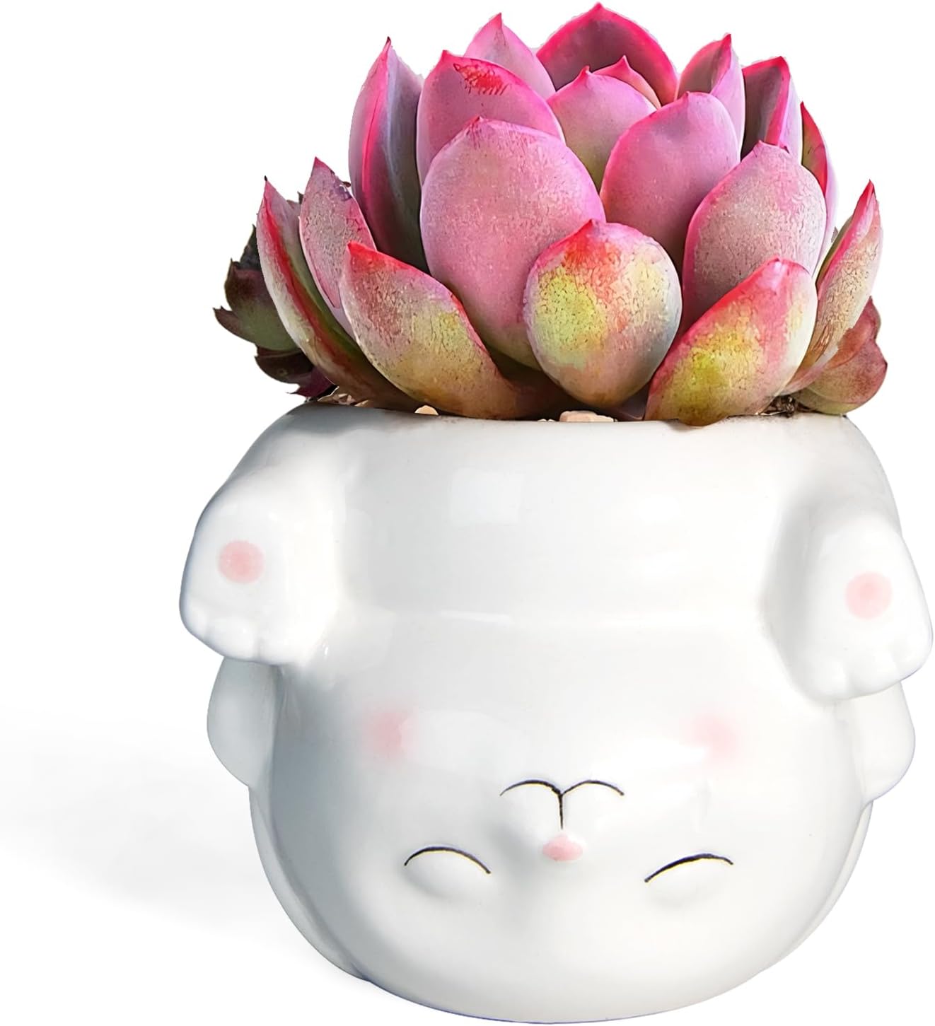 Cute Animal Ceramics Planter Succulent Pot with Drainage, 4.4 Inch Plant Pot for Indoor Mini Plants Flower Cactus, Home and Garden Decor Fun Panda Gifts
