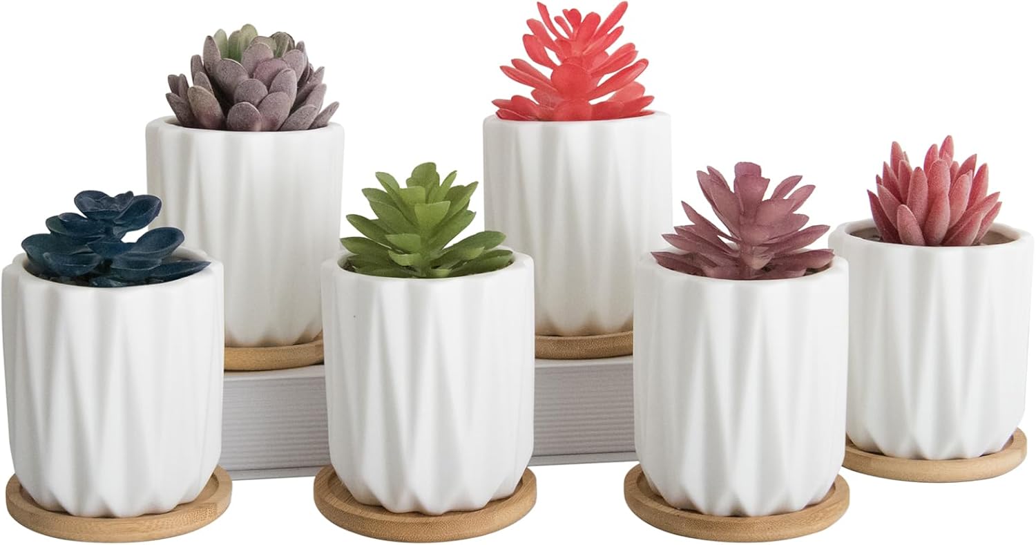 ARTKETTY Succulent Pots - 4 Inch Small Plant Pots with Drainage Trays Set of 6, Ceramic Pots for Indoor Plants White Cactus Flower Planter Container Decorative Garden Home
